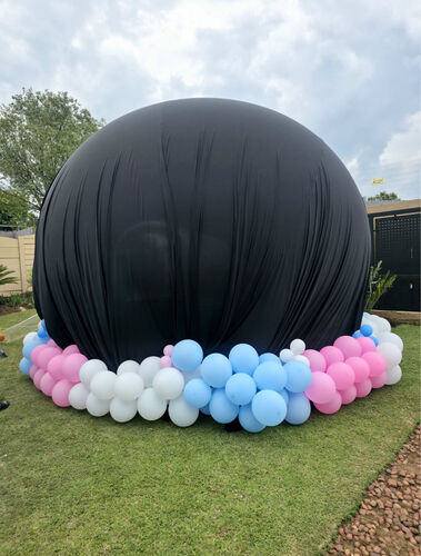 Gender Reveal
